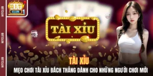 Mẹo Chơi Tài Xỉu Bách Thắng Dành Cho Những Người Chơi Mới